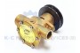 JPR-KD498 Engine Cooling Pump